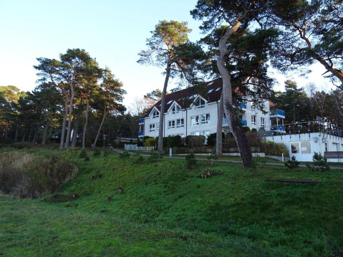 Apartment Seeblick, Blaumuschel